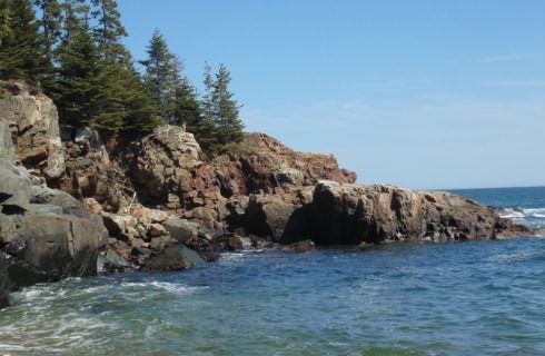 Evergreen trees on top of small rocky cliff next to the ocean