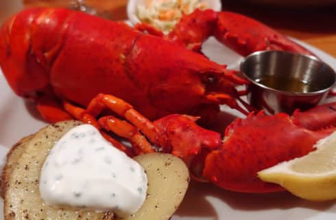 Lobster on white plate with butter dipping sauce and lemon wedge with potatoes and sour cream