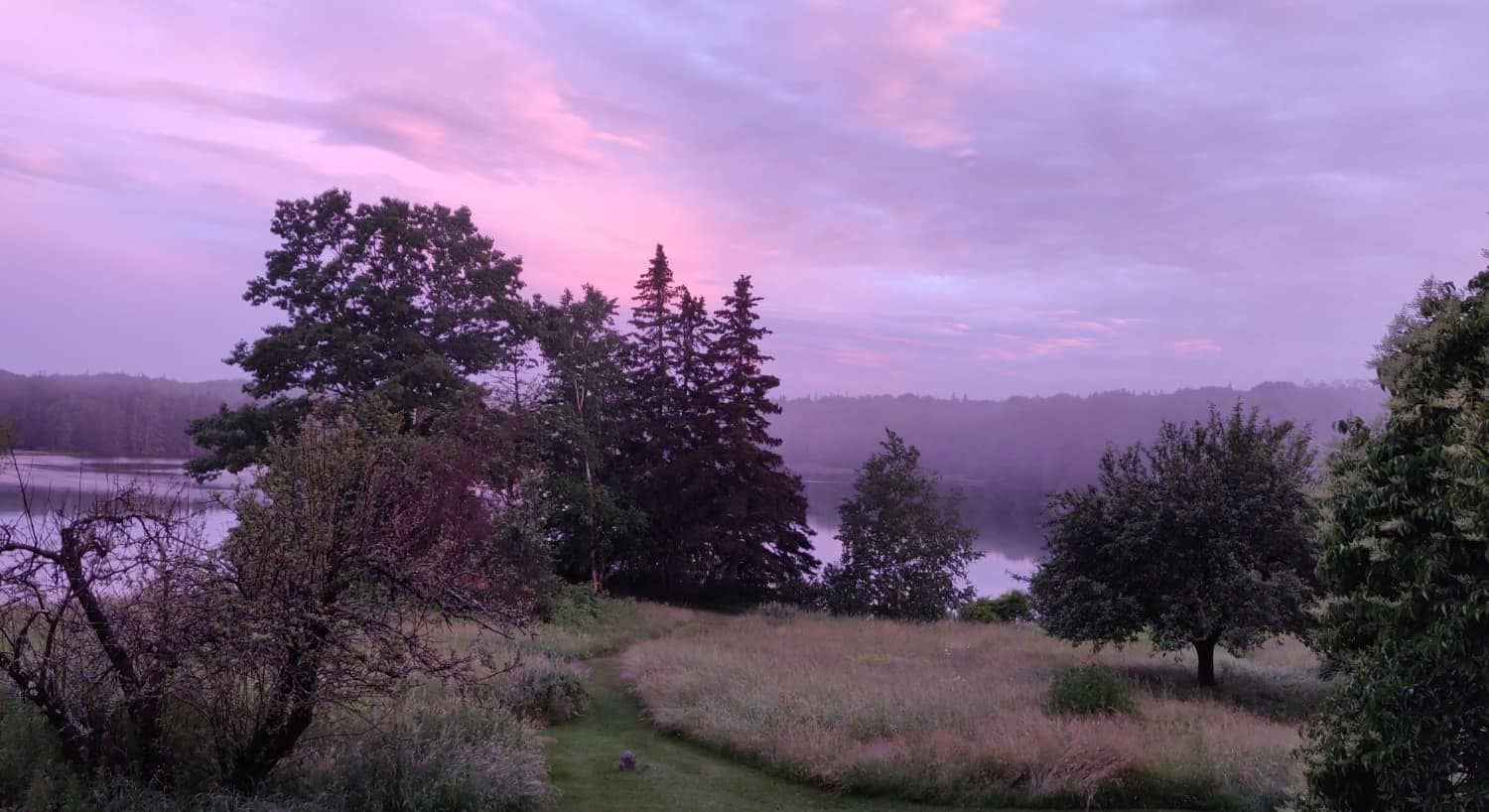 Hill with grass and trees with a body of water surrounded by more trees in the background with the sky full of pink, purple, and blue hues