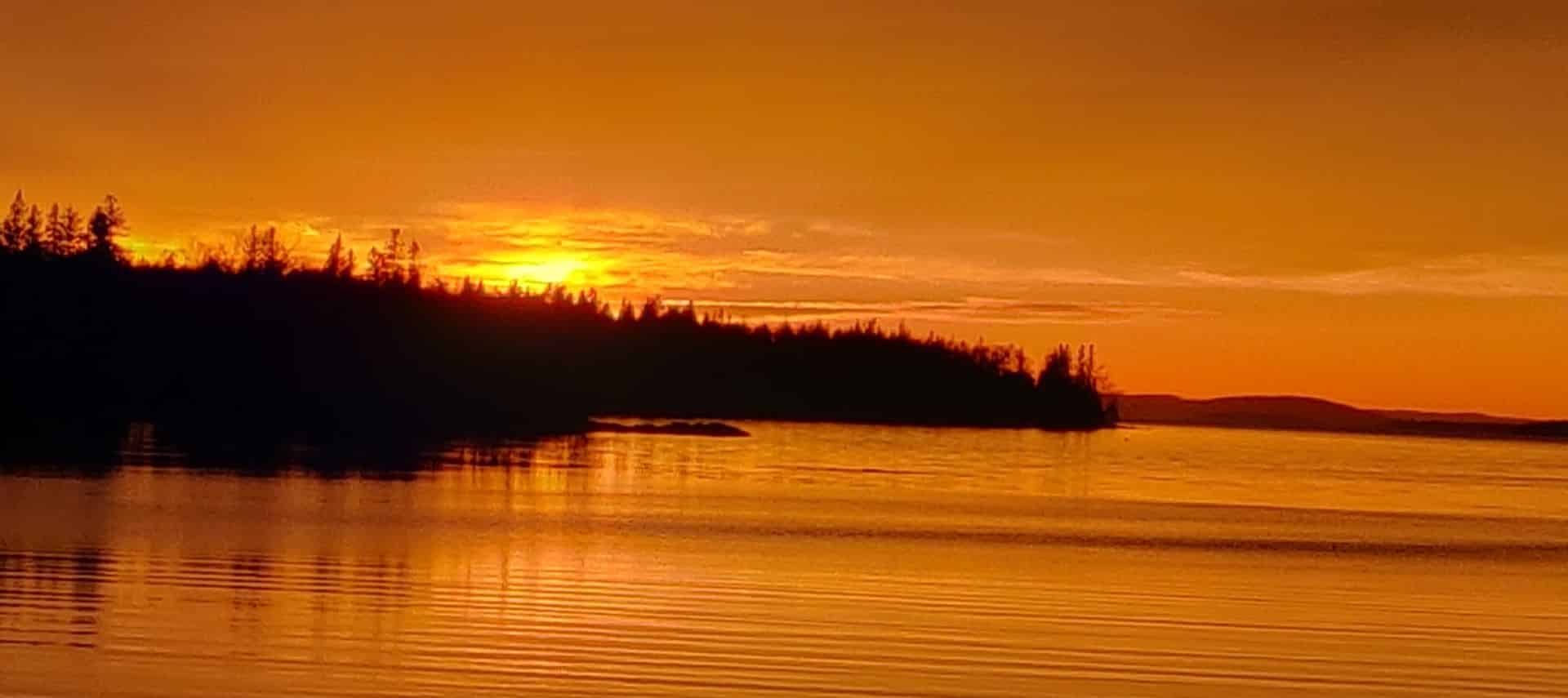 View of trees near a body of water with the sun setting reflecting orange hues in the sky and water